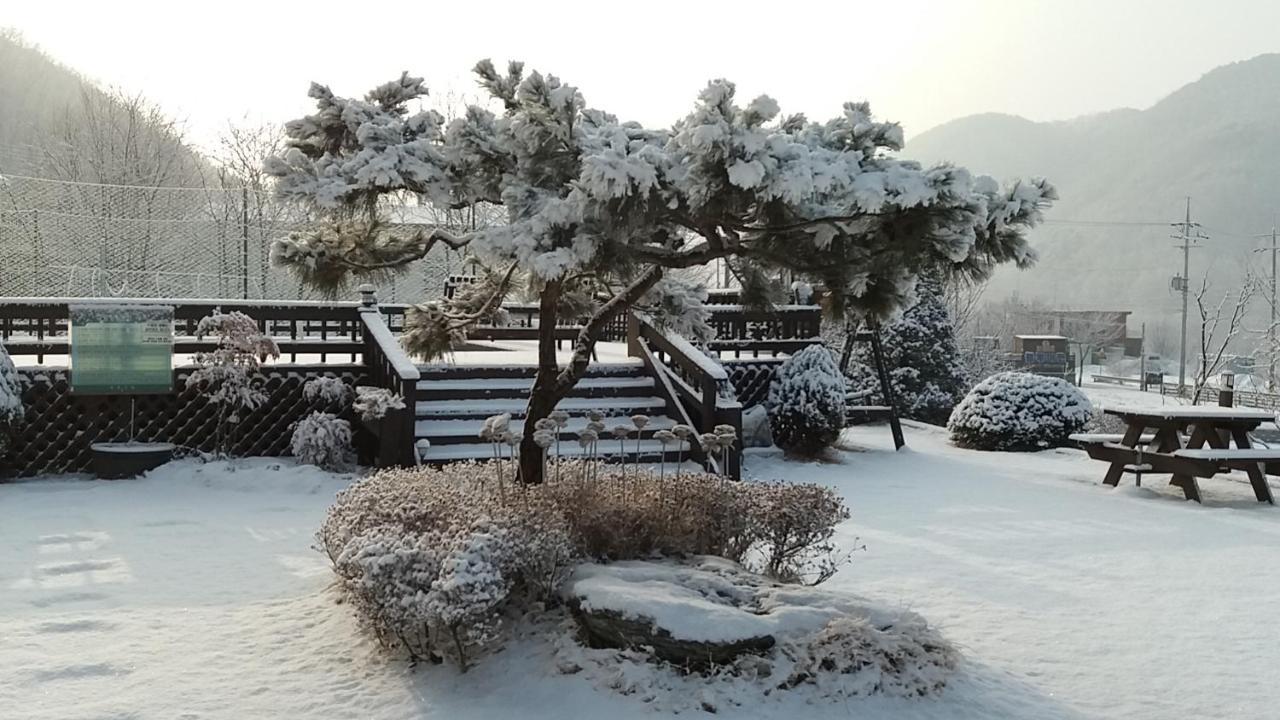 Forest Of Color Pension Hongcheon Esterno foto