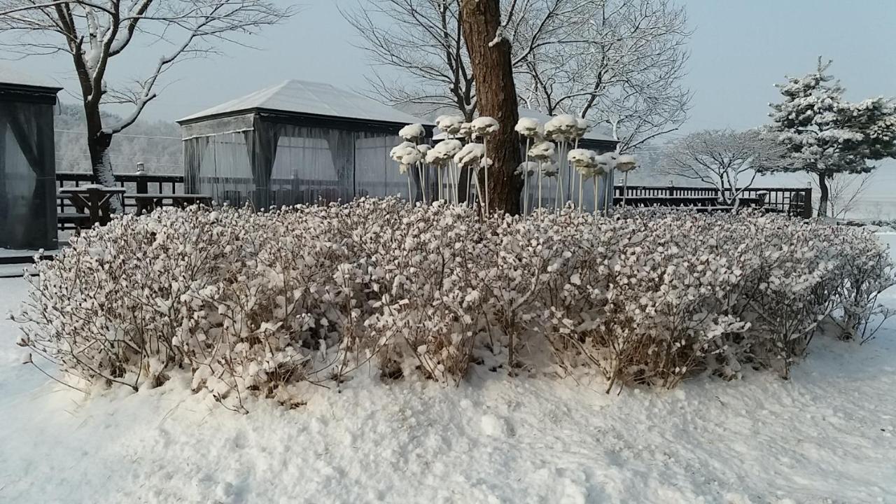 Forest Of Color Pension Hongcheon Esterno foto