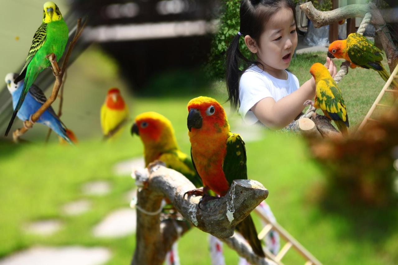 Forest Of Color Pension Hongcheon Esterno foto